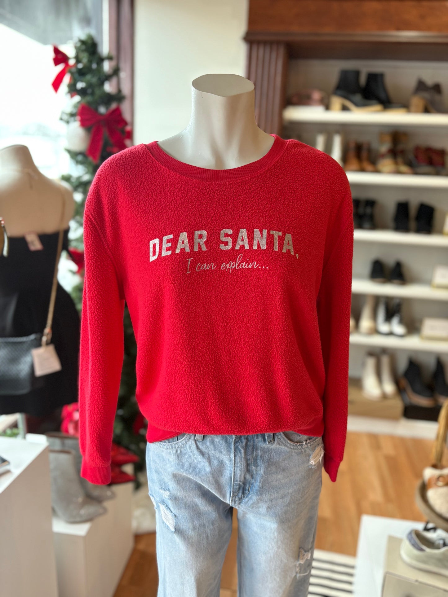 DEAR SANTA PULLOVER (M)