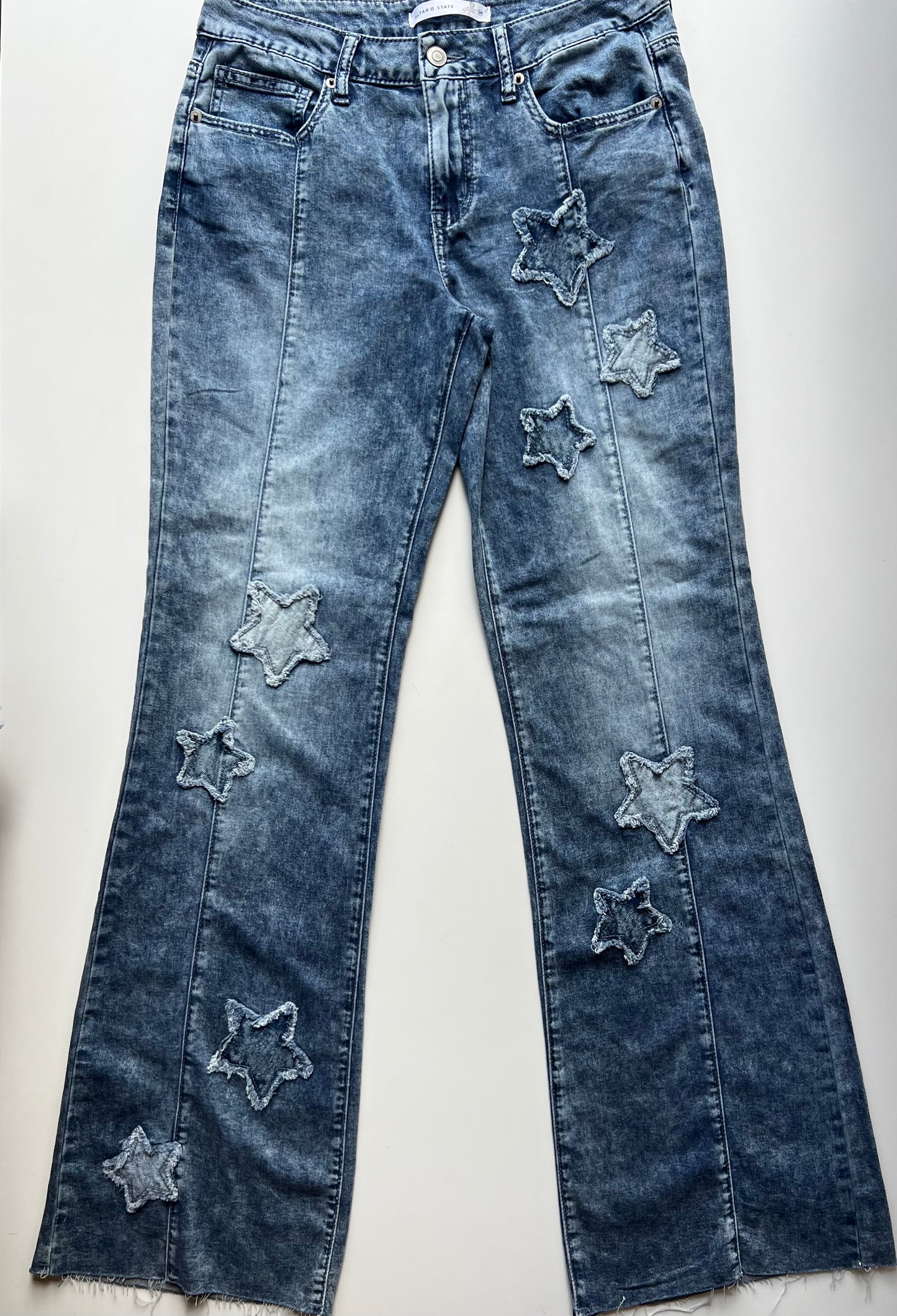 ALTRD STATE PANTS 28