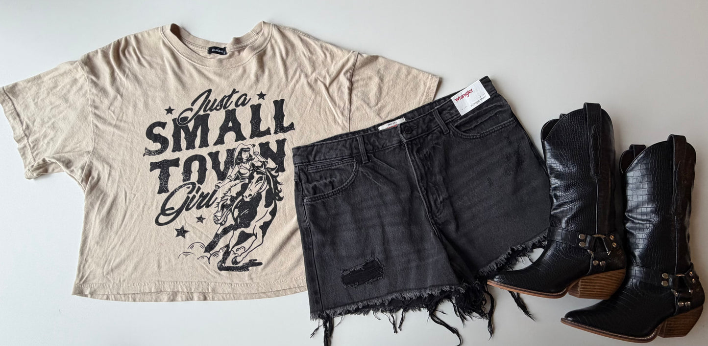 WRANGLER SHORTS (NWT) 30