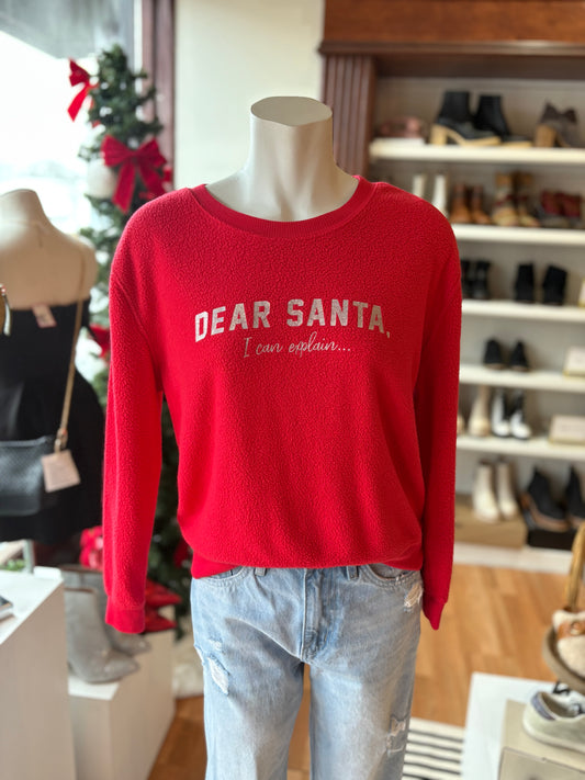 DEAR SANTA PULLOVER (M)
