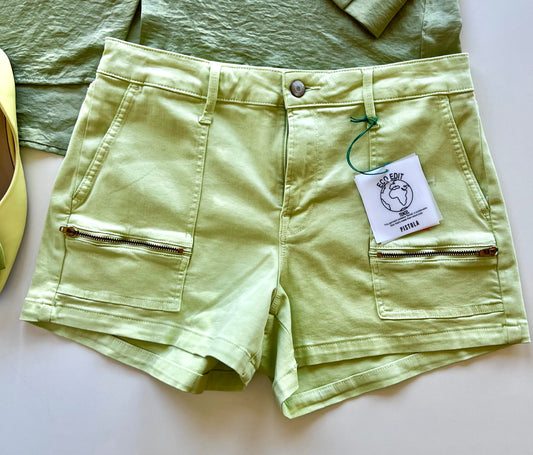PISTOLA SHORTS (NWT) 29