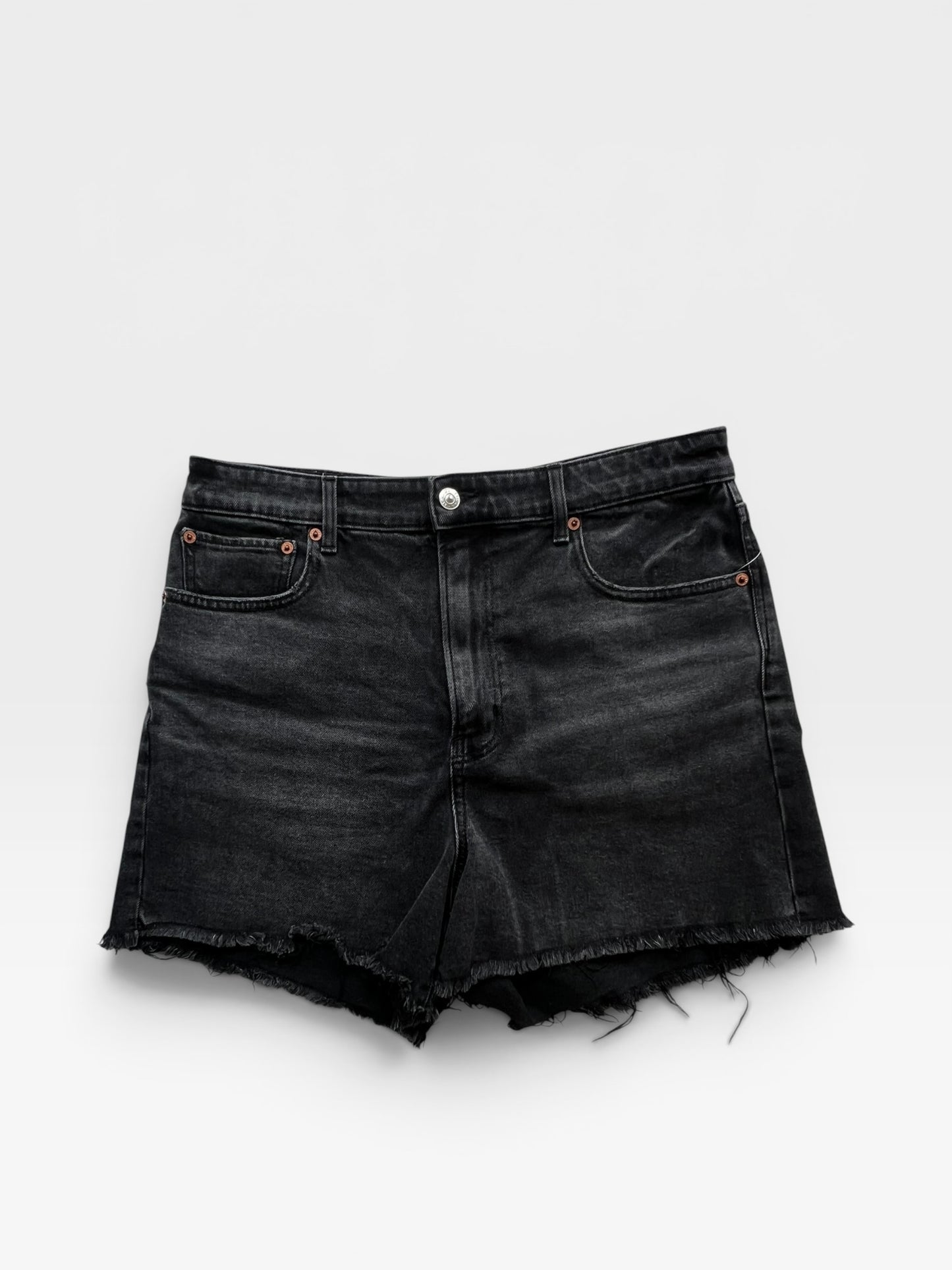 AMERICAN EAGLE SHORTS (BLACK) 12