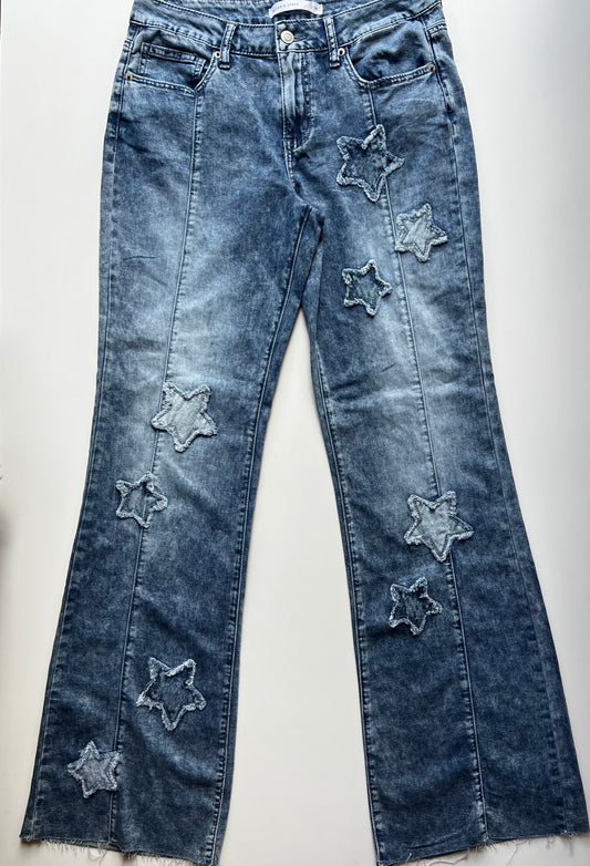 ALTRD STATE PANTS 28