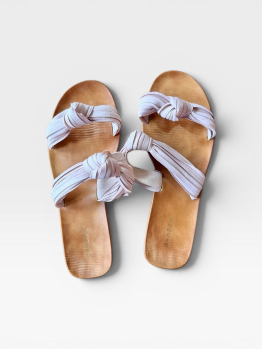 BAMBOO SLIDES 8.5